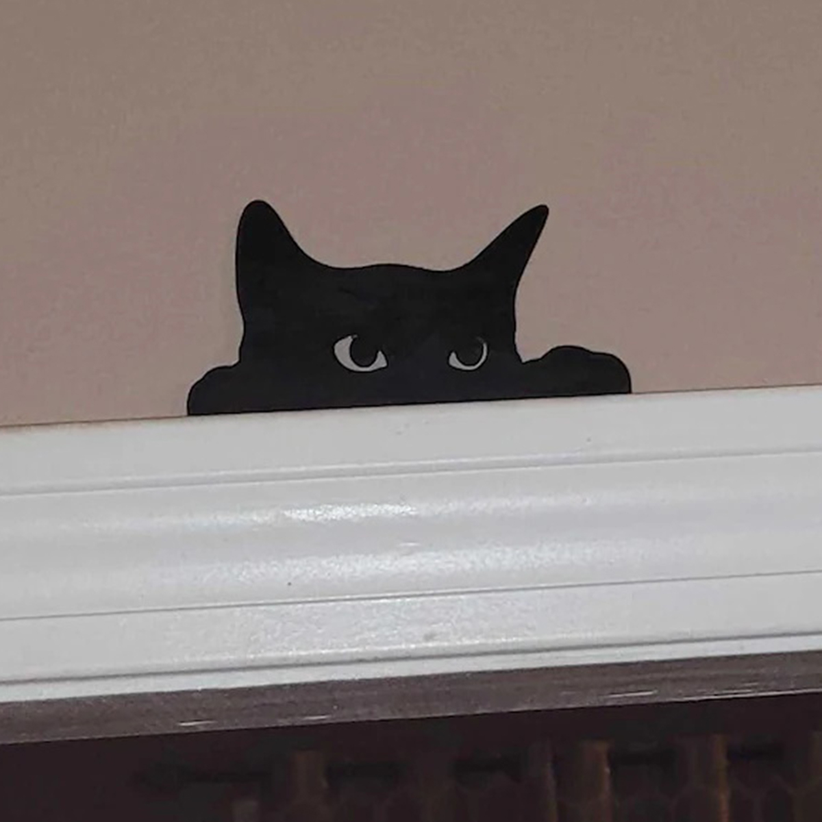 Tablet Accessories Aesthetic - 1 Adet Kedi Figürlü Kapı Üstü